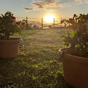 Airport Garden Holiday home